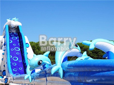 Best Price Giant Adult Size Dolphin Water Slide Manufacturer BY-GS-020